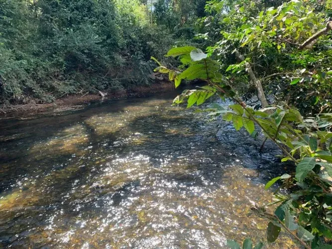 Chácara de 15.000 m² com rio de águas cristalinas, terreno fértil. Jaboticatubas.