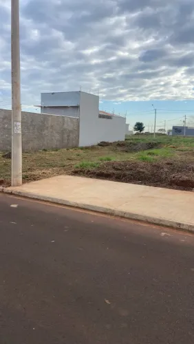 Terreno jardim sul