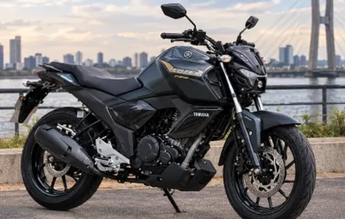 FZ 15 25/25