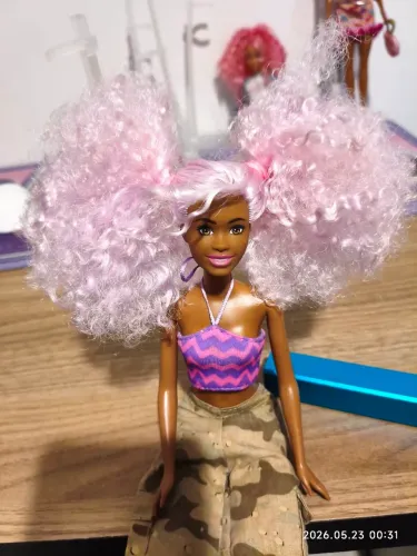 Lote Barbie