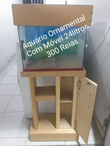 Aquário Ornamental 24litros ( 98879.0696 )