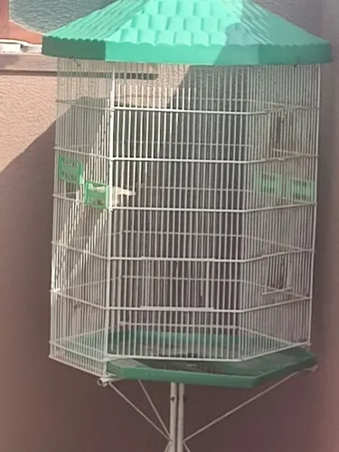 Gaiola para pássaros