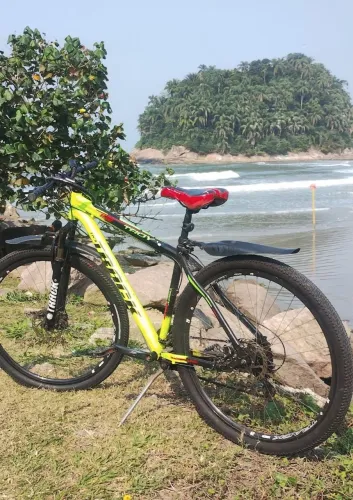 Bike aro 29 