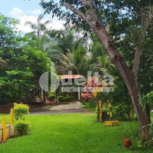Chácara Residencial disponível para Venda no bairro Minas Gerais em Uberlândia-MG