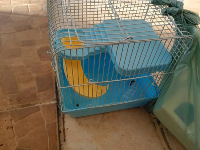 Gaiola para roedores