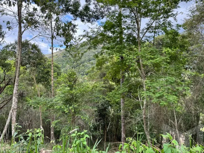 terreno em condominio