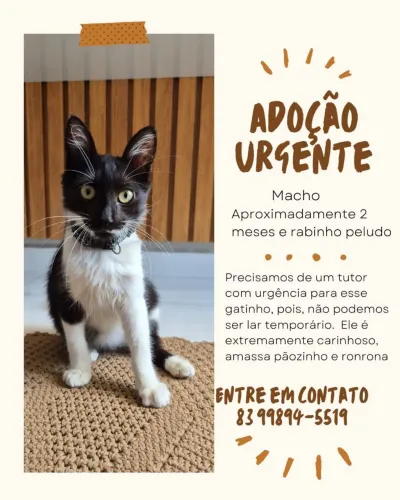 Animais de estimação