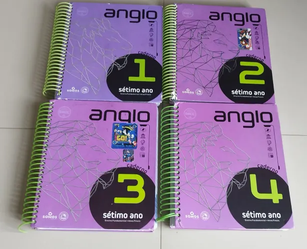 Livros Anglo - Colégio Bom Jesus 7 ° Ano