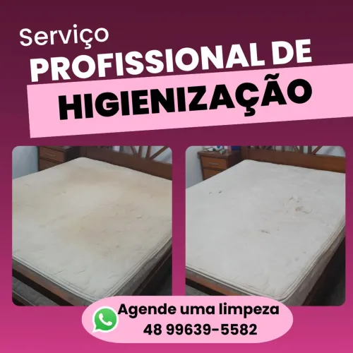 Serviço profissional de higienização 