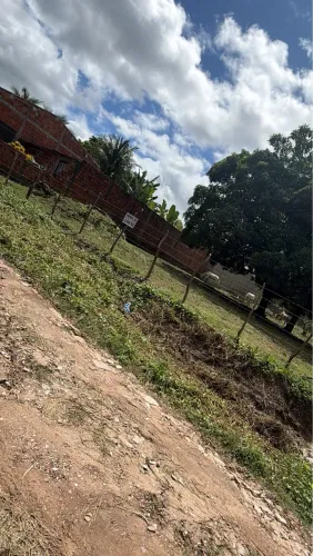 Chão de chácara 15X60 no Pai André