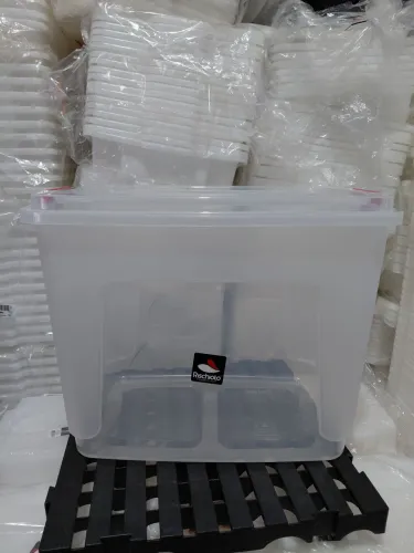 Caixa Organizadora 65 litros NOVA MARCA RISCHIOTO REF 0130