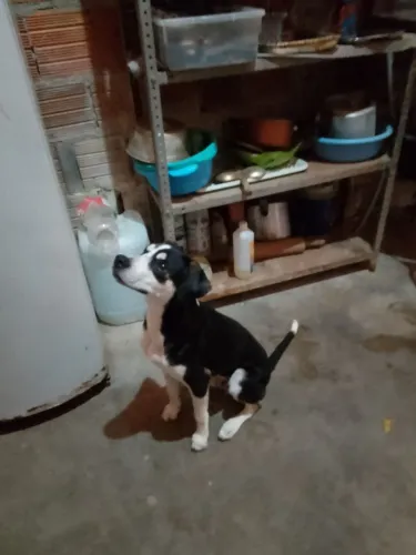 Doação