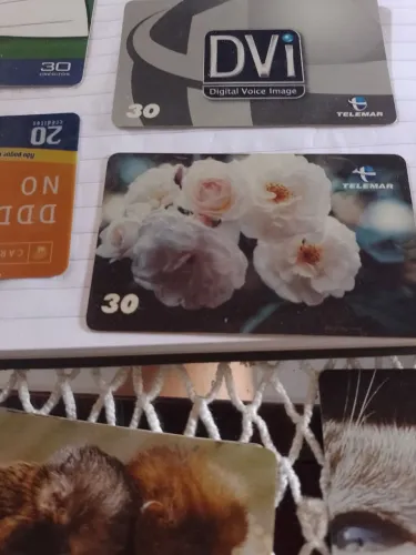 Cartão telefônico