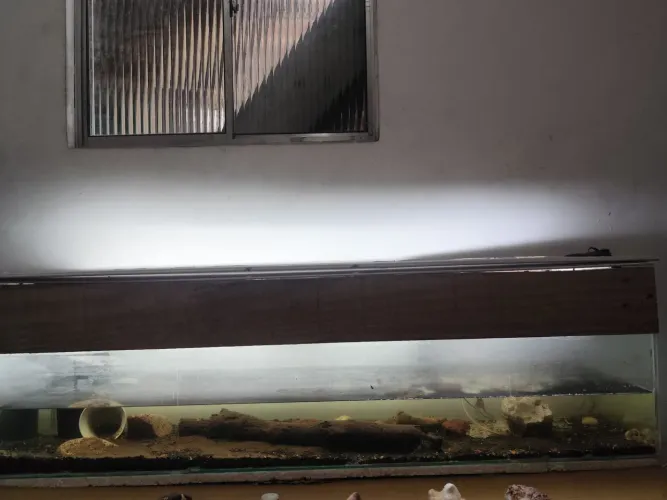 Aquário 95L