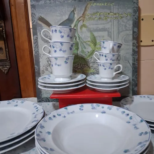 Jogo jantar/ café/ chá porcelana Germer 21 peças. 