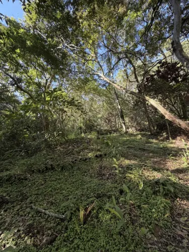 Área para empreendimento 40.000m2 | Camboriú área urbana