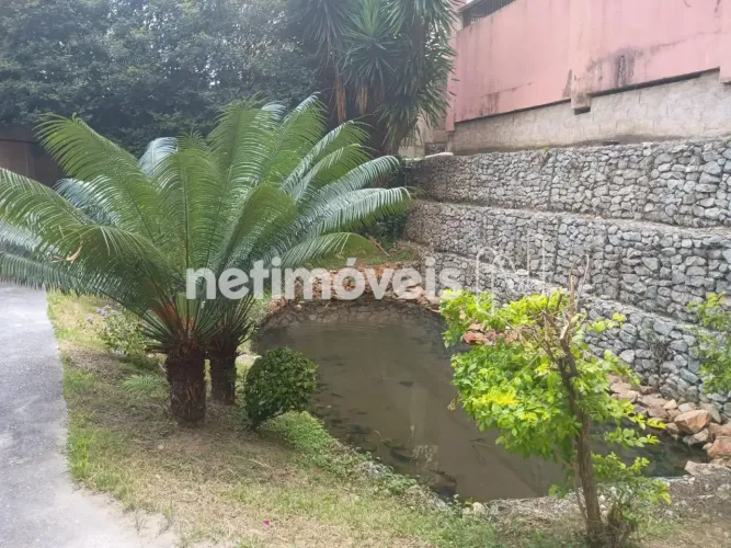 Venda Apartamento 3 quartos Vila Cloris Belo Horizonte