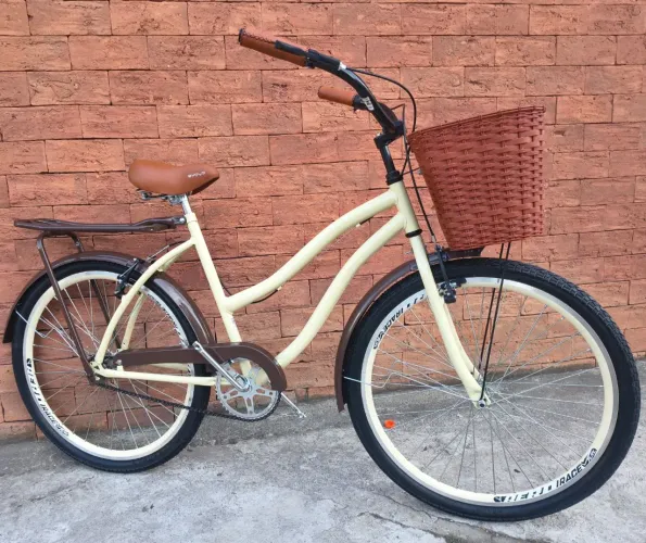 Bicicleta biach retrô aro aero e raios duplos