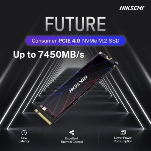 SSD NVMe 1TB Hiksemi Future PCIe 4
