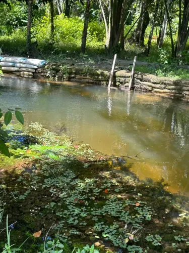Vendo Sítio na AM010 no Km 30, no Ramal da Água Branca I com igarapé.