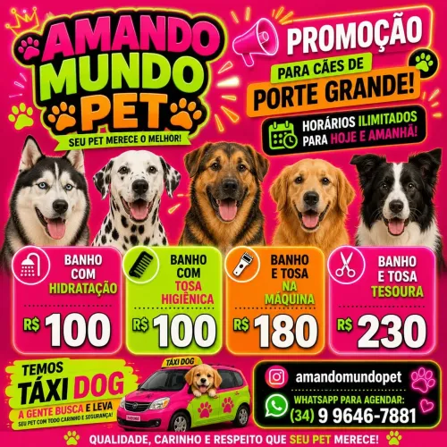 Pet shop amando mundo pet