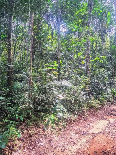 Vendo terreno ou troco por moto localizado na br 174, 6 km de ramal cuida ?