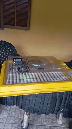 Chocadeira elétrica