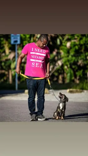 Serviço de passeios com cães