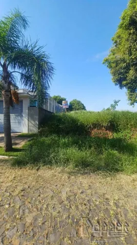 Terreno à Venda no Bairro Encosta do Sol com Ampla Área Disponível para Construção