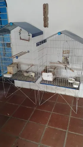 Viveiros