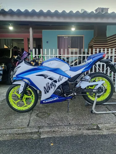 NINJA 300