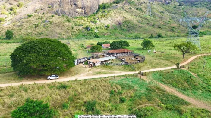 Campanário - Fazenda