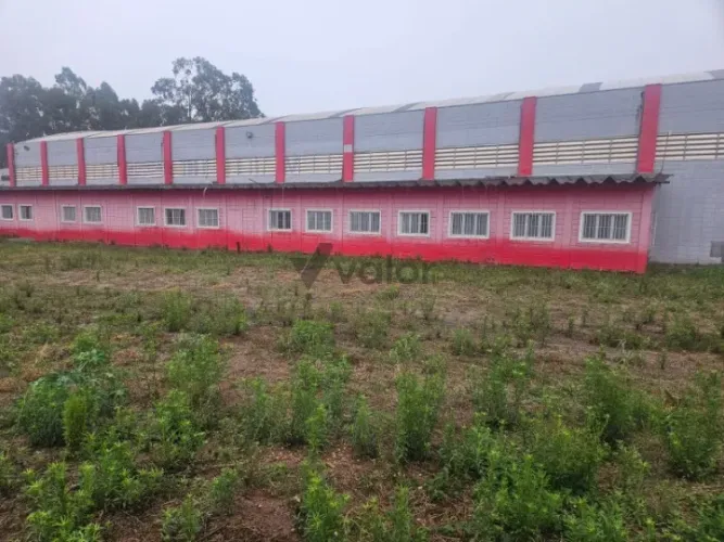 Galpão para alugar em Mogi Mirim, Distrito Industrial II Luiz Torrani, com 2900 m²