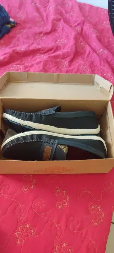 Sapato novo masculino
