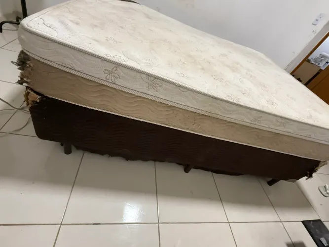 Cama