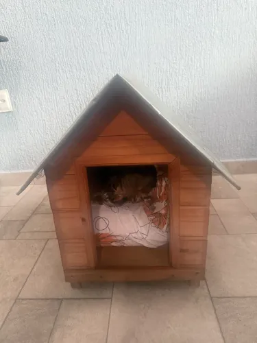 Casinha para cachorro