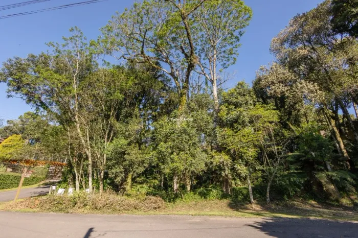Lindo terreno á venda no Ipê Amarelo em Gramado
