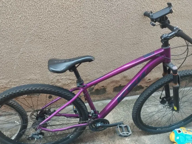 bike aro 29