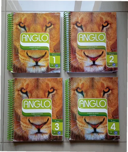 Kit Apostilas Anglo 1ª Série Ensino Médio - Volumes 1 a 4 (Completo)