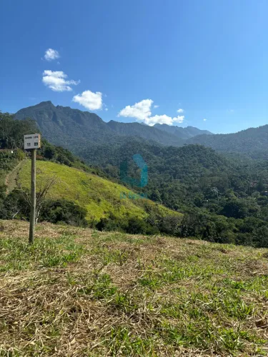 Área Total Ampla: São 1.280 m² de terreno, cercados por mata nativa preservada, o que asse