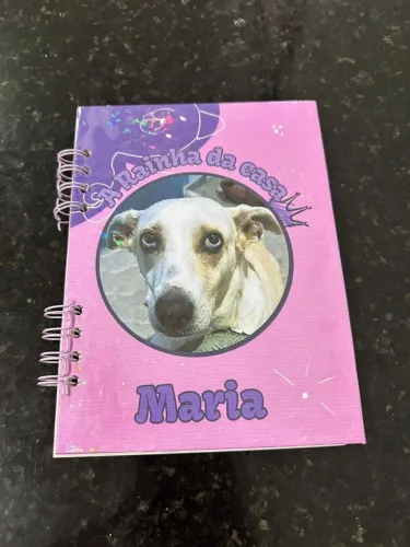 Caderno de vacina pet personalizado 