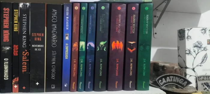 Saga Harry Potter 7 Livros capa dura editora Rocco.