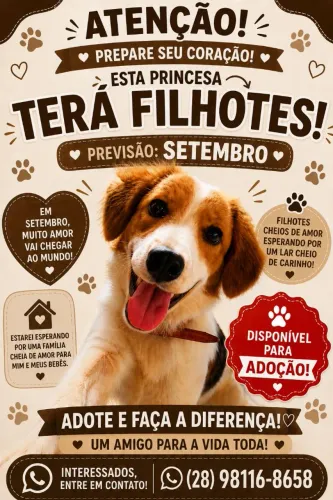 Doação de filhotes