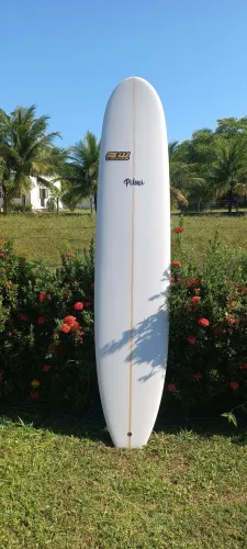 Prancha de Long board 9.2 com 71 Litros,  nova nunca usada.