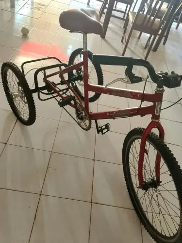 Bicicleta Triciclo