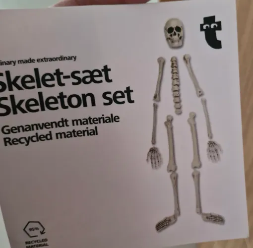Esqueleto educativo