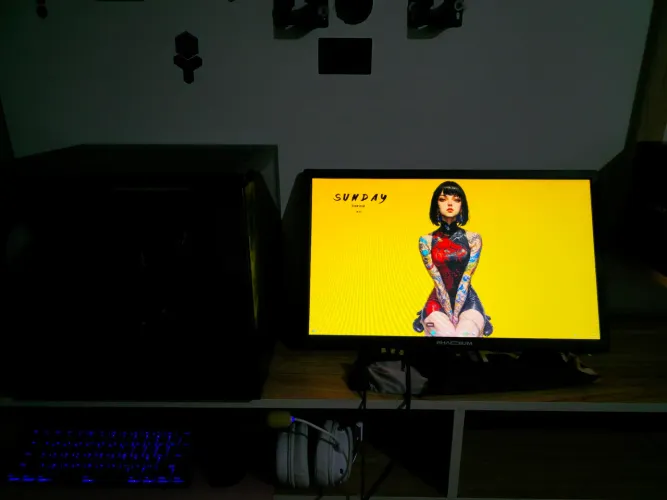 Pc Gamer Completo