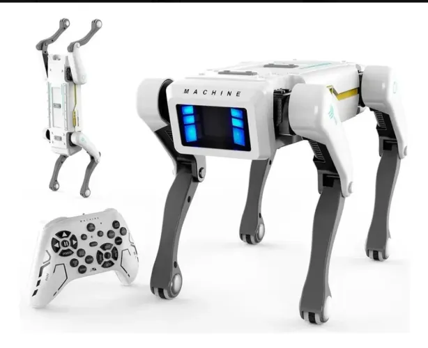 Cao Robo