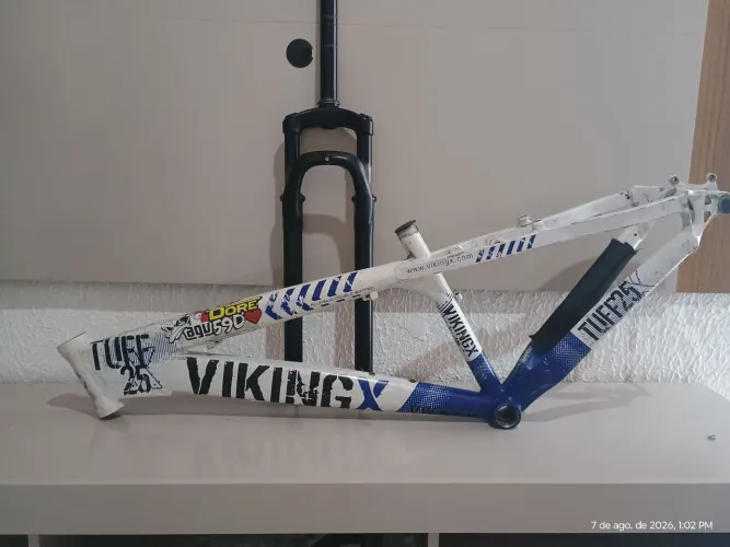 Quadro viking