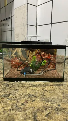 AQUARIO 10 litros